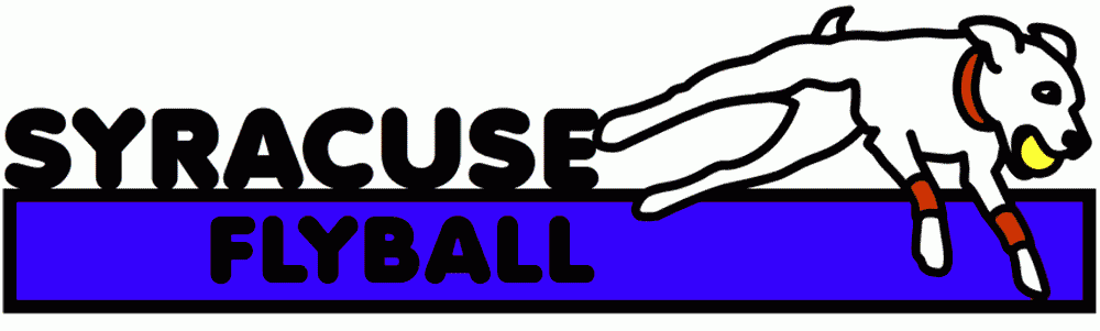 Syracuse Flyball
